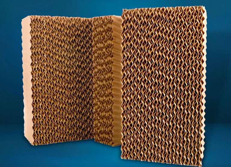 Condair Kuul'u satın aldı