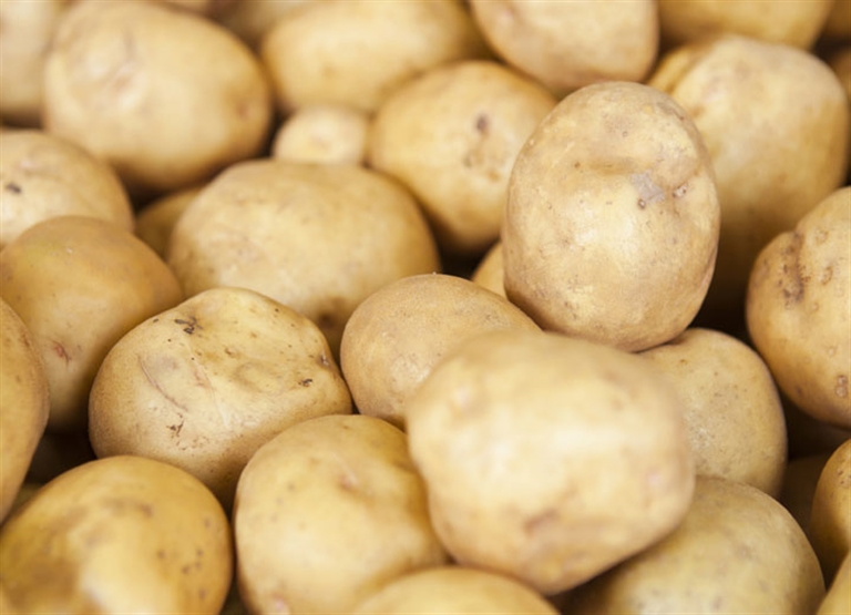 Mahsul depolama nemlendirmesi